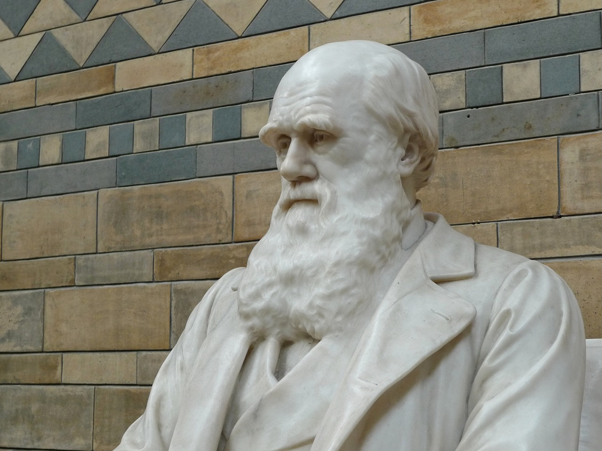 Darwin Day: per celebrare l’eredità duratura di Charles Darwin